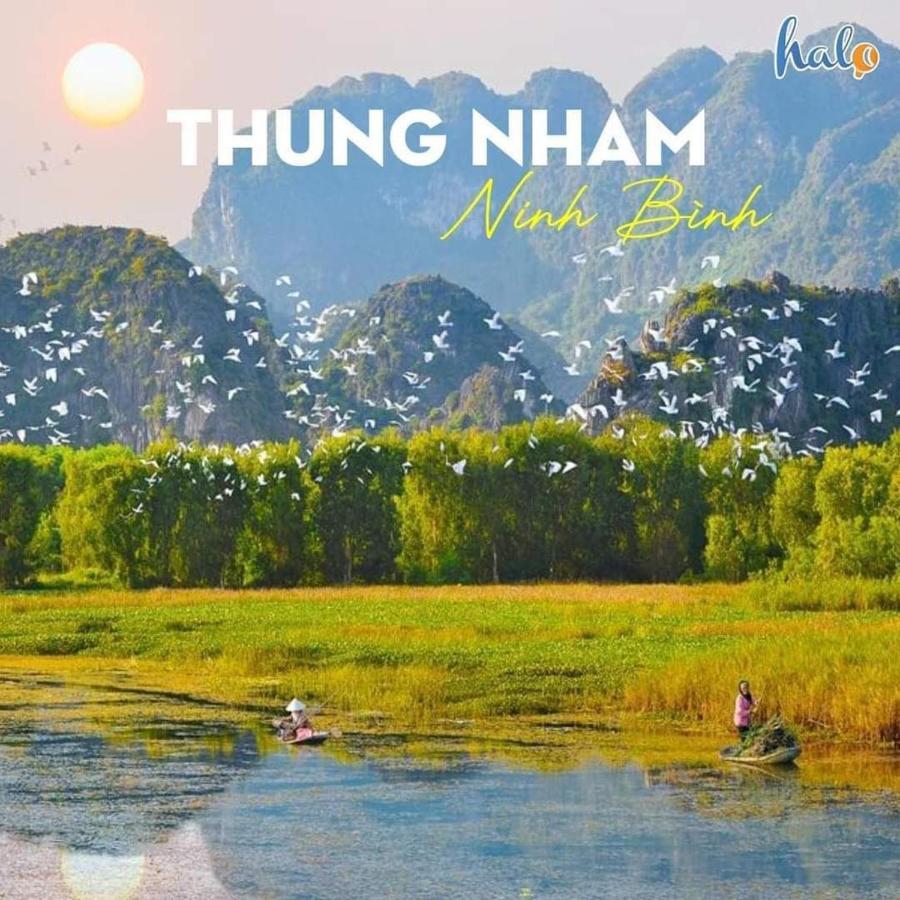 Cherry Homestay Ninh Binh Exterior photo